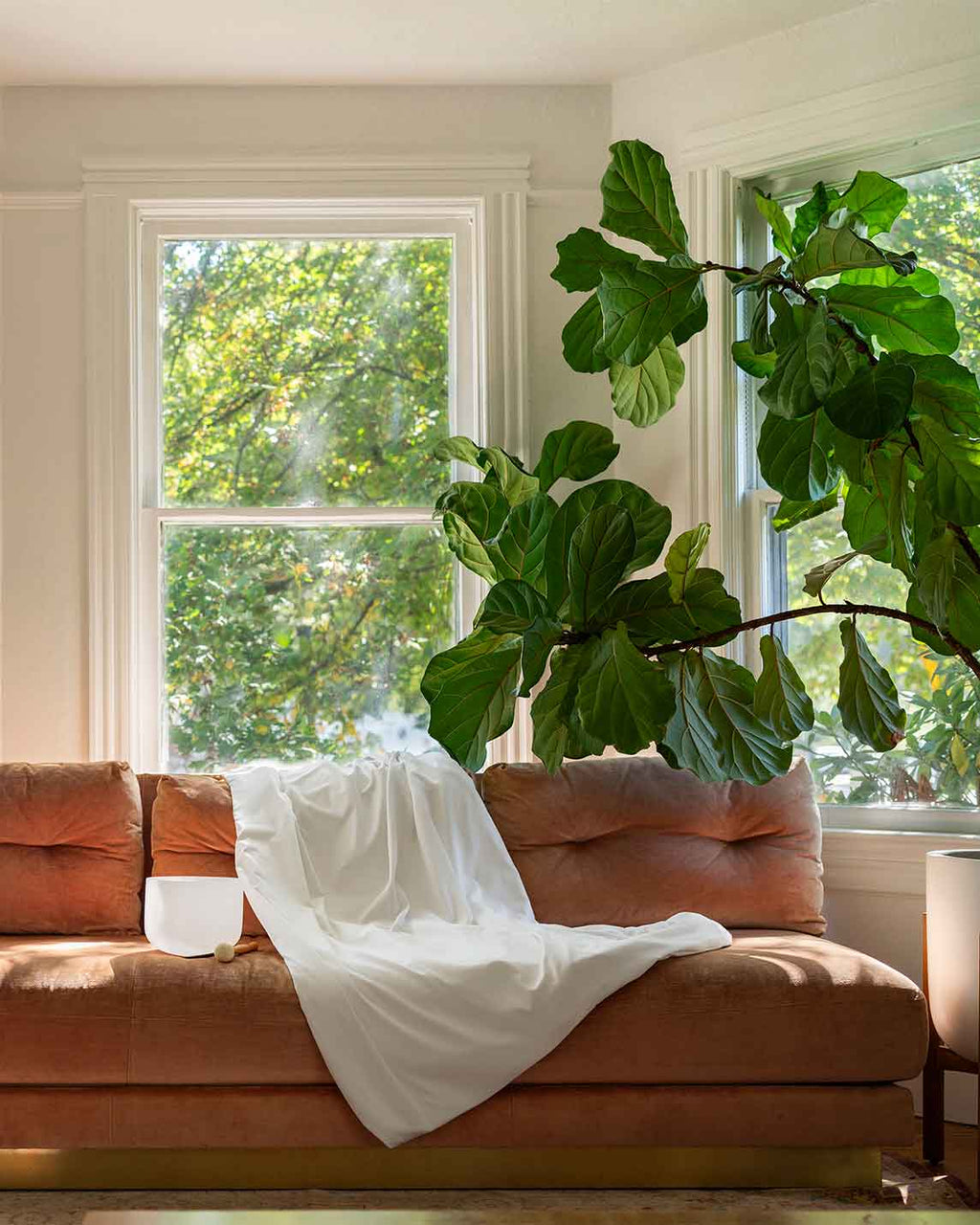 Cotton Duvet Cover For Weighted Blankets