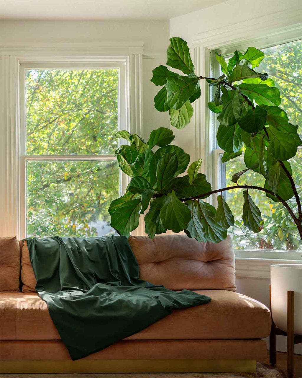 Cotton Duvet Cover For Weighted Blankets
