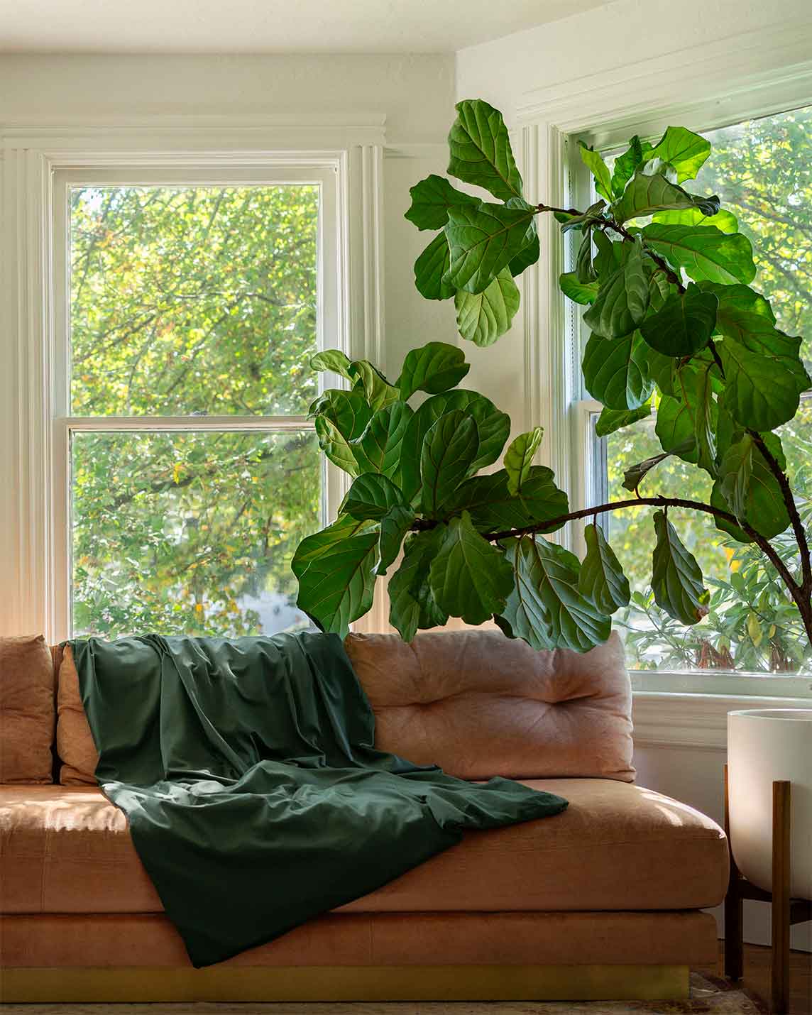 Cotton Duvet Cover For Weighted Blankets