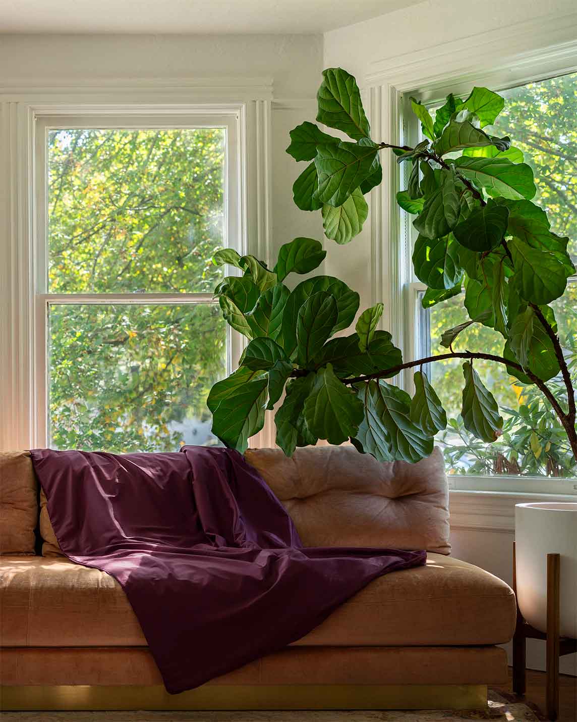 Cotton Duvet Cover For Weighted Blankets