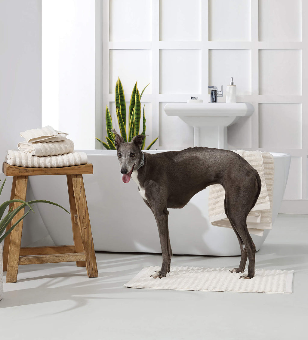 Luxury Turkish Cotton Rib Towel Set