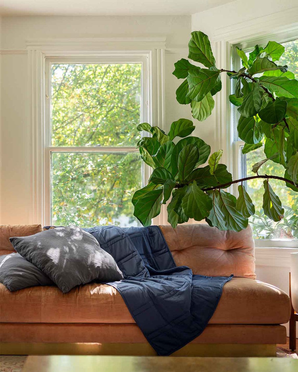 Soft Luxurious Weighted Bed Blankets & Throw Blankets