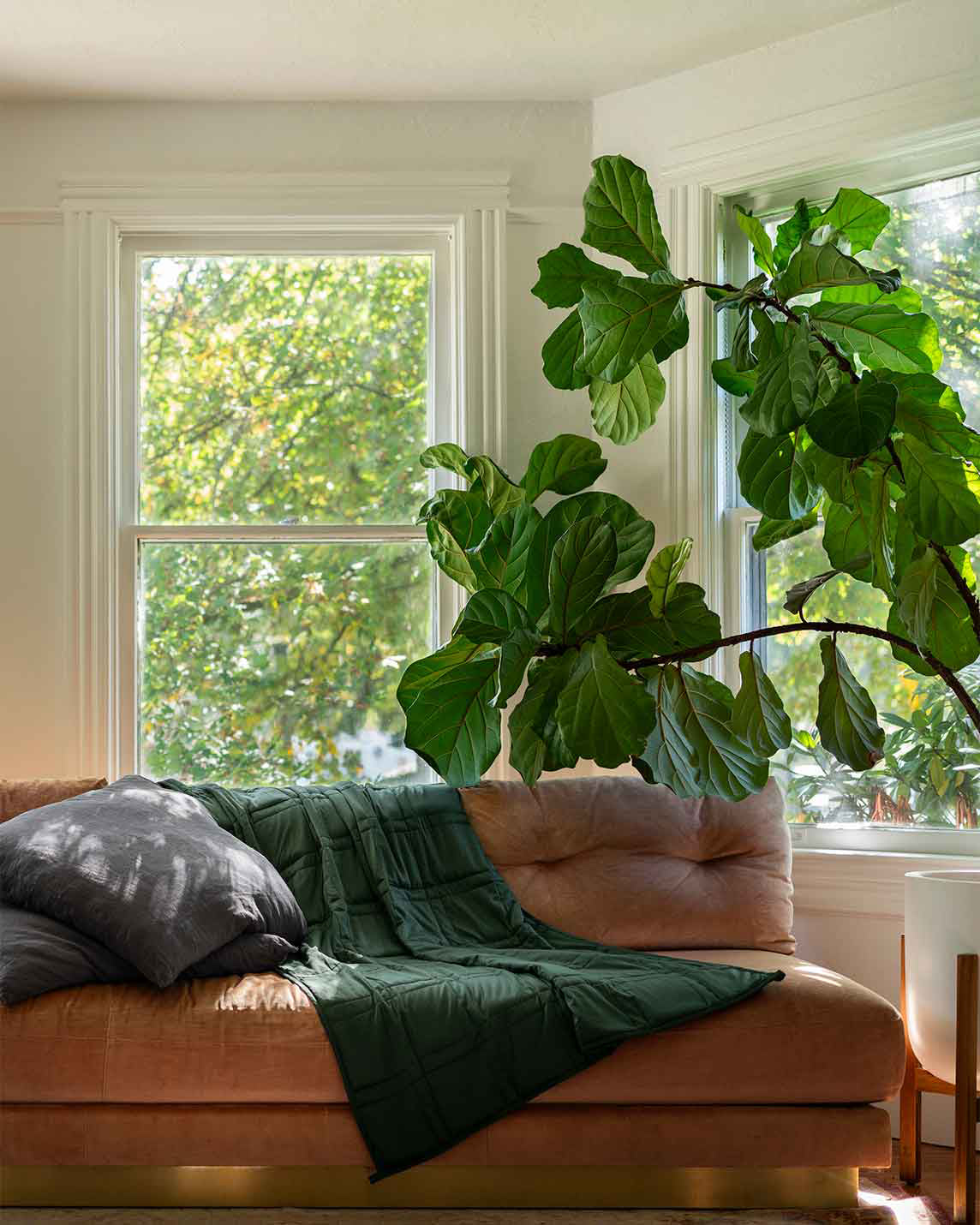 Soft Luxurious Weighted Bed Blankets & Throw Blankets